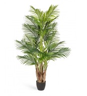 Treez    Sensitive Botanic, 5 , 24 , 170 