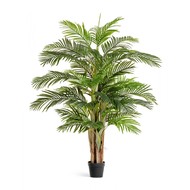 Treez      Sensitive Botanic, 5  39 , 190 