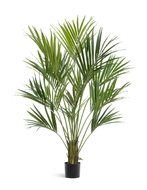 Treez   ()  , 170 