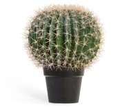 Treez  , 4735 , -