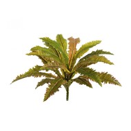     Sensitive Botanic, 20 , 4035 