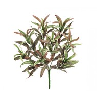 Treez -  , 30 , --