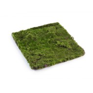 Treez   MDP, 3030 