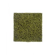 Treez   Fuscum,  , 5050 , -