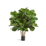 Treez     , 9580 