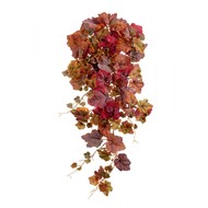   Velvety Touch, 75 , - 