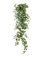Treez    Sensitive Botanic, 170 , -