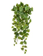 Treez     Sensitive Botanic, 55 