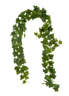    , 180 ,  