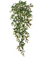 Treez   , 356 , 95 