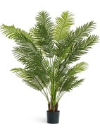   New Paradise Sensitive Botanic, 6 /29 , 170 