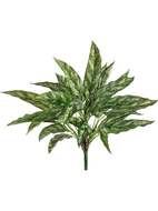 Treez    , 40 