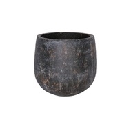 Ter Steege   Amber, 2019 , -