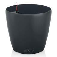  Classico Color, 6055 , -, --