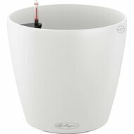  Classico Color, 7065 , , --