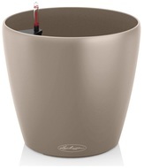  Classico Color, 7065 , -, --