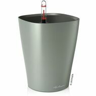    Deltini, 1418 ,    ,  