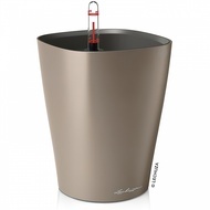    Deltini, 1418 ,    ,  