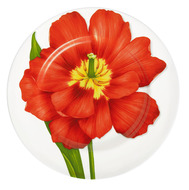   Flower Freedom, 27 , 