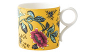 Wedgwood    (300 ), 