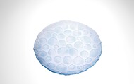  Scallops, 282 , -