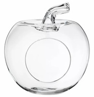 Alegre Glass  , 2724 
