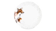 Royal Worcester     , 26.5 