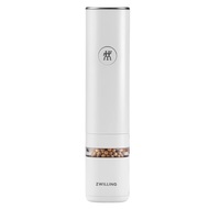 Zwilling   / Enfinigy , 