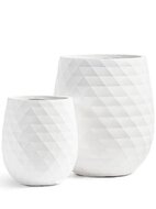Treez  Ergo Diamond  , 5044 ,  