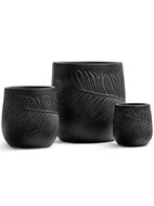 Treez  Ergo Nature , 2221 , 