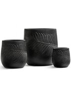 Treez  Ergo Nature , 3232 , 