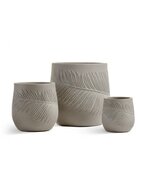 Treez  Ergo Nature , 3232 , 