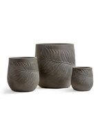 Treez  Ergo Nature , 2221 , 