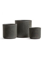 Treez  Ergo Orien Metal , 3837 ,    