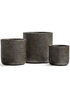 Treez  Ergo Orien Metal , 3837 ,    
