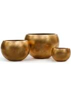 Treez  Effectory Metal , 4329 ,  