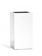 Treez  Effectory Gloss  , 603131 ,   