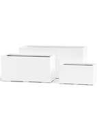 Treez  Effectory Gloss   , 402022 ,   
