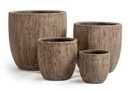 Treez  Treez Effectory Wood  , 3029 ,  