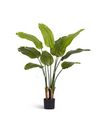 Treez  New Style Sensitive Botanic, 110 , 