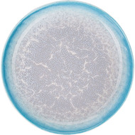 Kunstwerk    (500 ), 22  