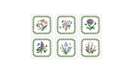 Pimpernel      .  , 10.510.5 , 6 .