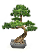 Treez      (), 9085 ,   