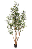 Treez    , 220 