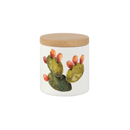 Nuova Cer    Cactus, 8 