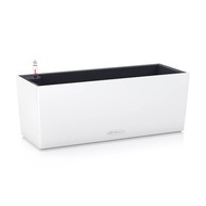 Lechuza  Balconera Color, 5019 ,  , --