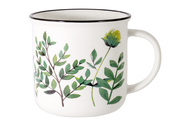Anna Lafarg  Herbarium   (400 ), 