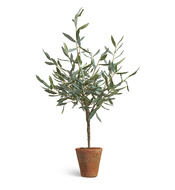 Treez   Prime   , 85 
