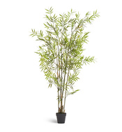 Treez   Style ( UV-), 120 