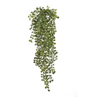 Treez  , 70 